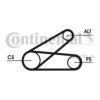 CONTITECH 6PK873 ELAST T1 V-Ribbed Belt Set